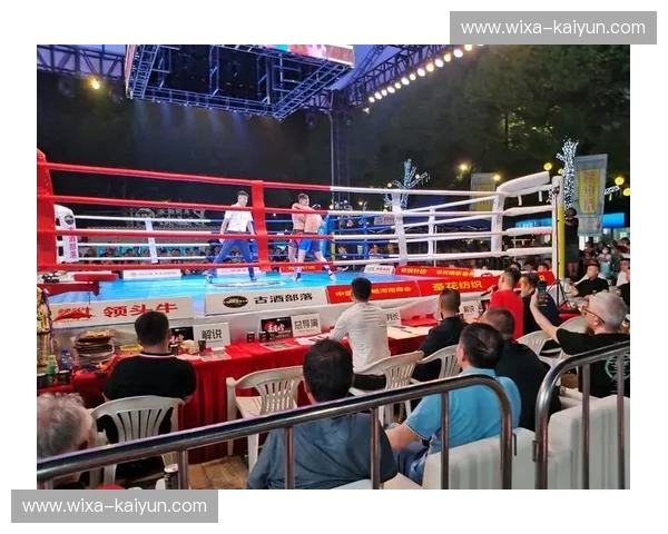 搏击数据访谈：在数字与拳影之间寻找胜利的秘密